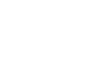 Shape 24